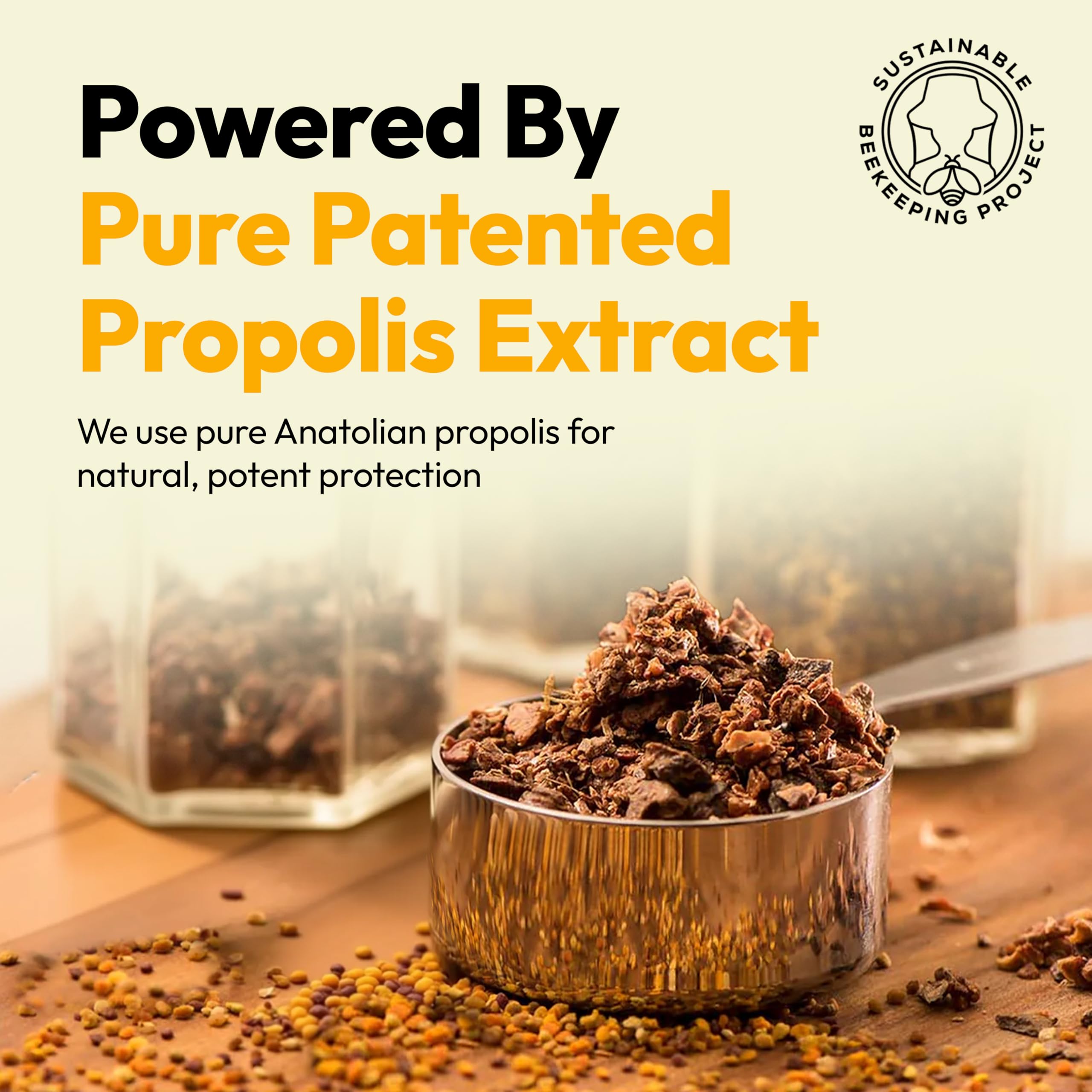 BEE & YOU Propolis daily wellness Support Supplement bottle with ingredients