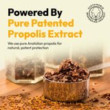 BEE & YOU Propolis daily wellness Support Supplement bottle with ingredients