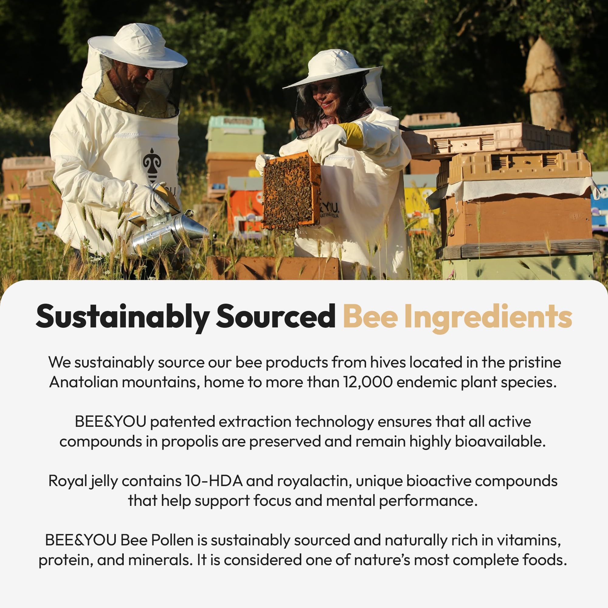 BEE & YOU Royal Jelly Propolis Bee Pollen Tablets close-up