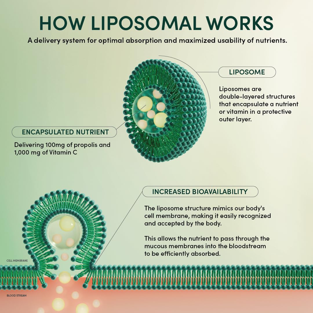 Beekeeper's Naturals Brain Health Liposomal packets displayed with ingredients
