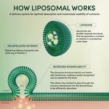 Beekeeper's Naturals Brain Health Liposomal packets displayed with ingredients