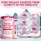 BELANO Shilajit Honey Sticks individual stick close-up