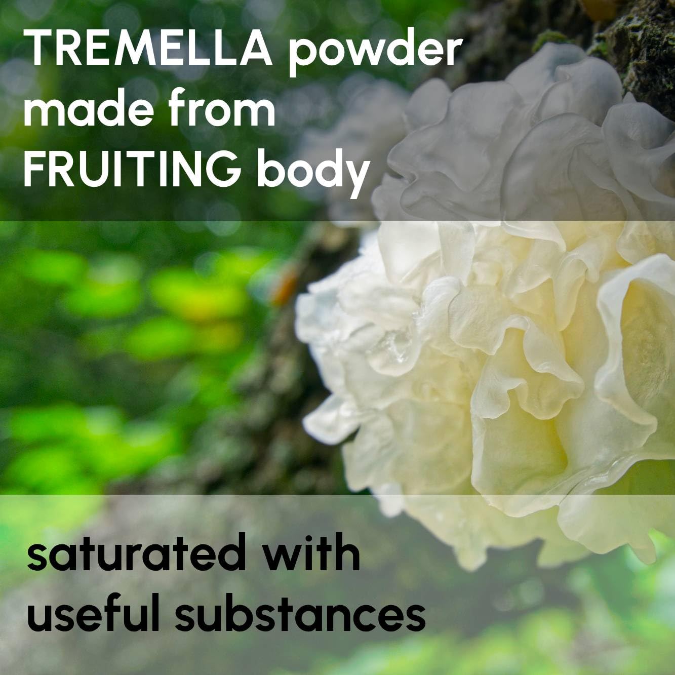 Beleon Goods For Life Tremella Mushroom Powder in a bowl with a spoon