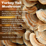 Beleon Goods For Life Turkey Tail Mushroom Powder in a bowl