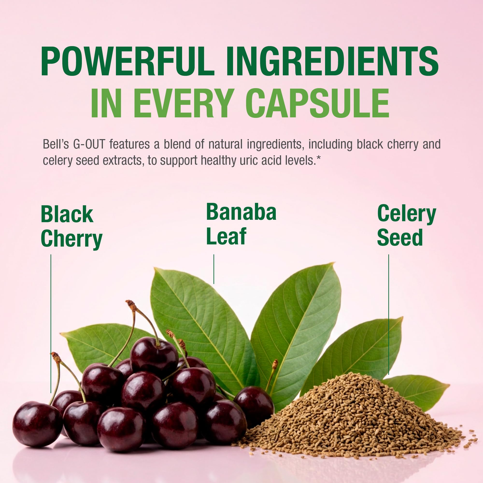 Bell G-OUT back of the supplement bottle with ingredients