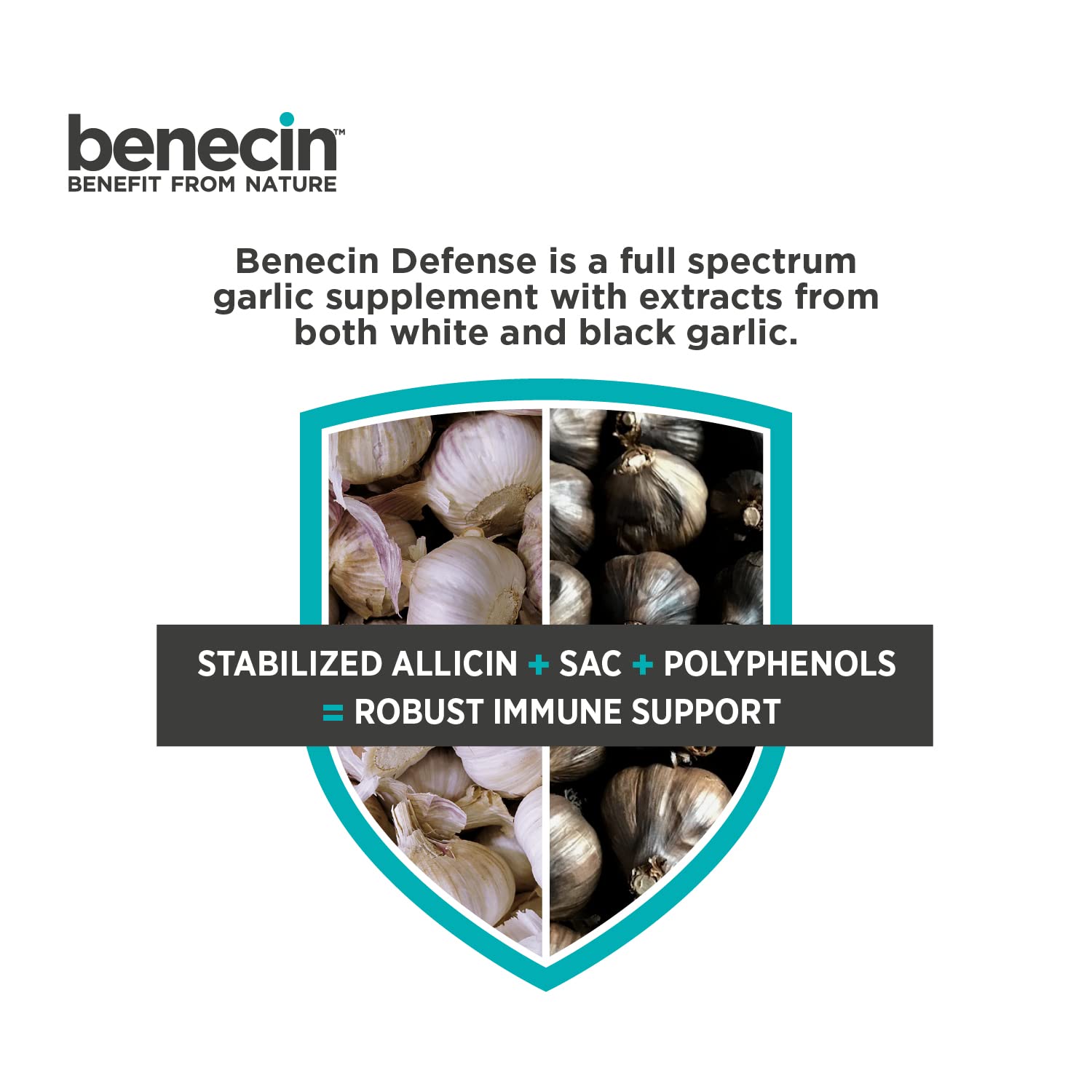 Benecin Garlic Supplement 1500 mcg capsules with fresh garlic