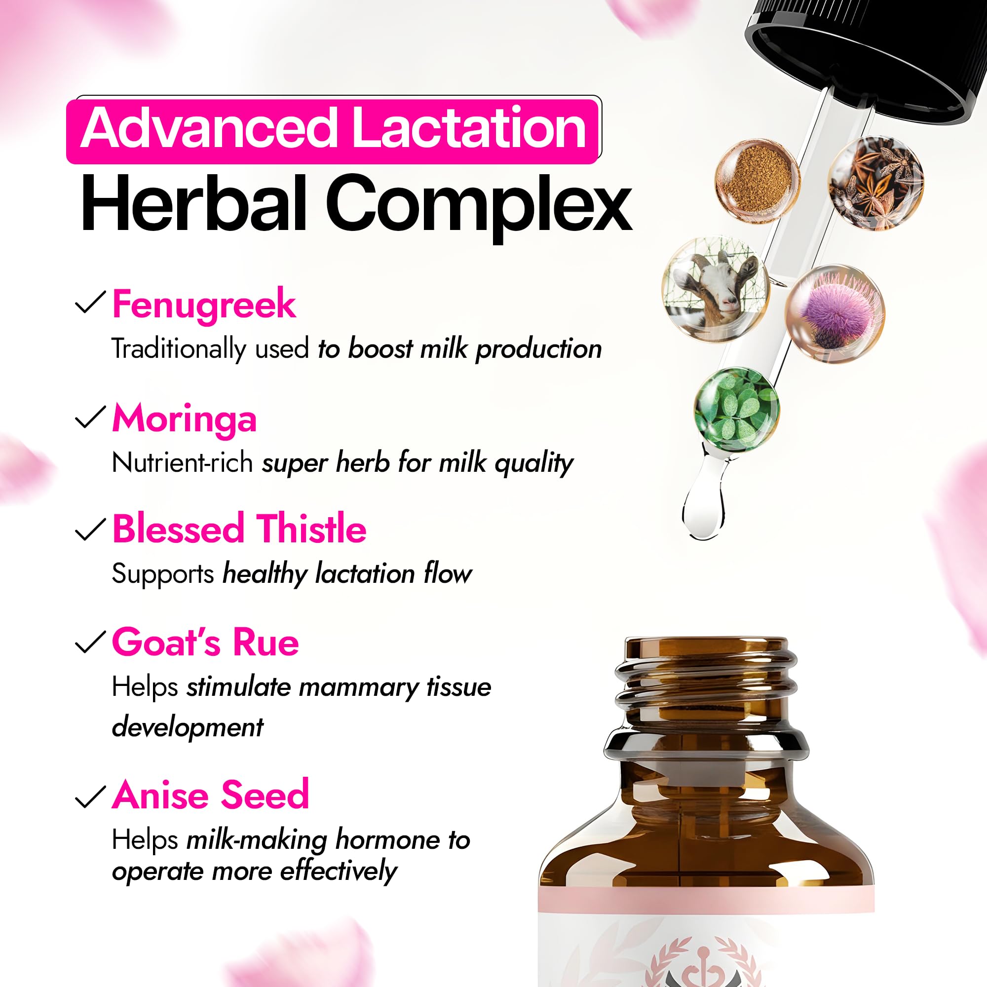 Benevolent Nourishment Milk Thistle Liquid Drops ingredients list