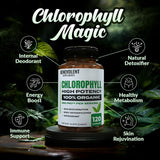 Benevolent Nourishment Organic Chlorophyll Capsules back view