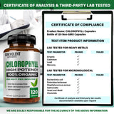 Benevolent Nourishment Organic Chlorophyll Capsules with fresh greens