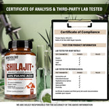 Benevolent Nourishment Shilajit Capsules bottle with a blurred background