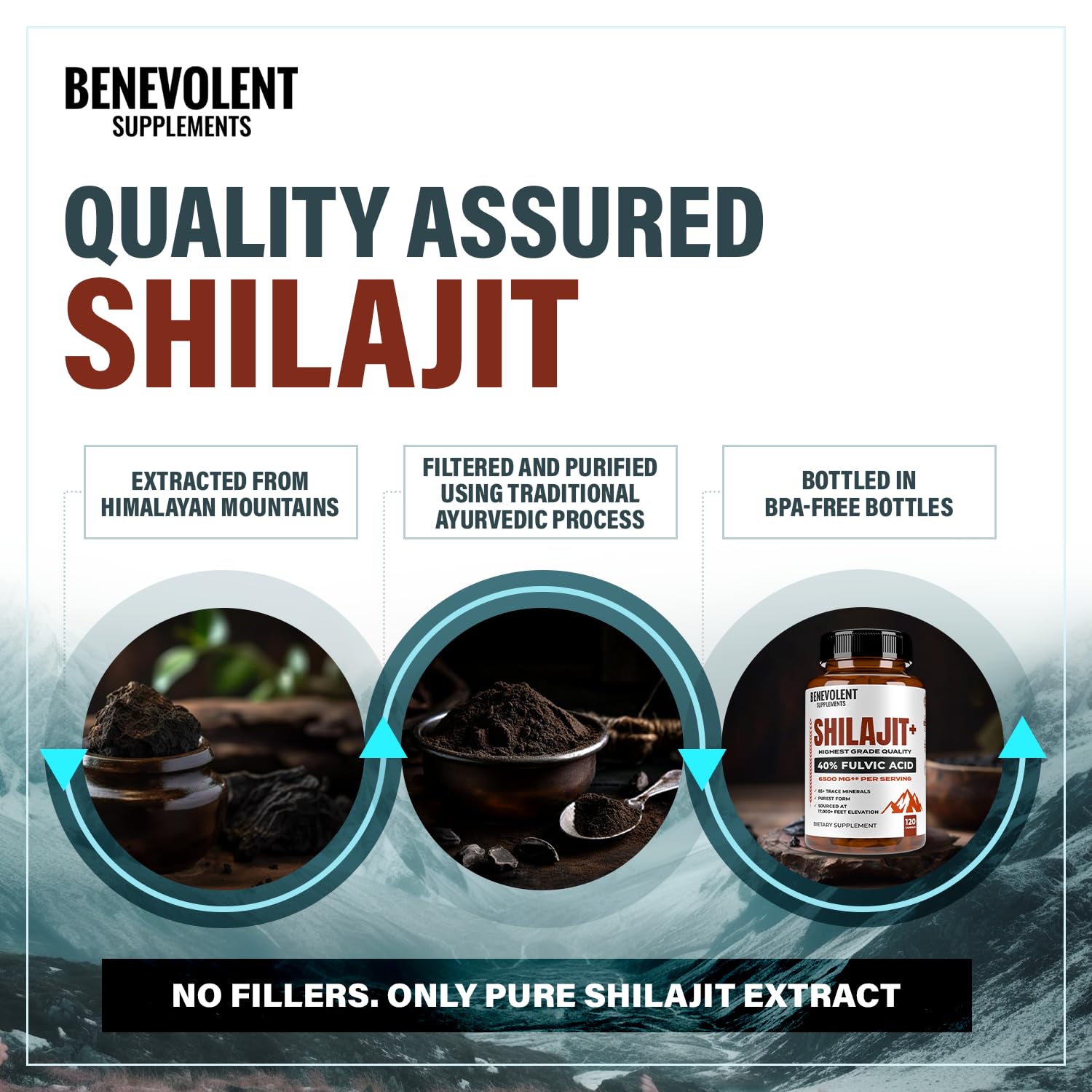 Benevolent Nourishment Shilajit Capsules displayed on a wooden surface