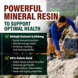 Benevolent Nourishment Shilajit Capsules in a hand for size comparison