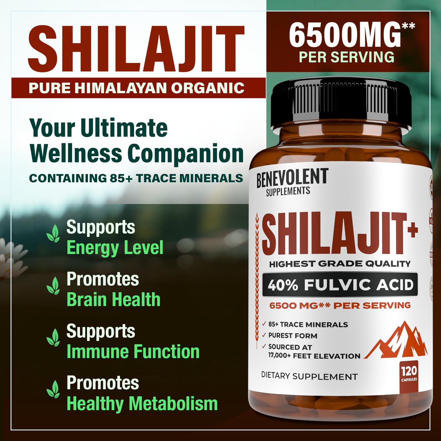 Benevolent Nourishment Shilajit Capsules side view showing capsule