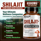 Benevolent Nourishment Shilajit Capsules side view showing capsule