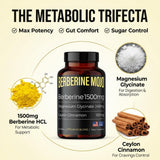 Berberine Mojo Herbal Supplement 1500mg tablet packaging