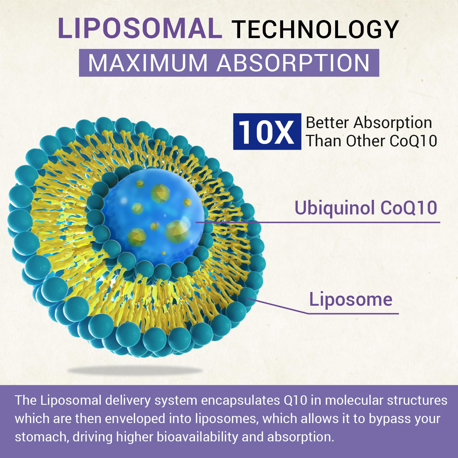 Besibest Ubiquinol CoQ10 800mg Softgels nutritional information