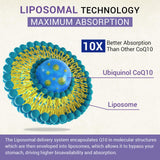 Besibest Ubiquinol CoQ10 800mg Softgels nutritional information