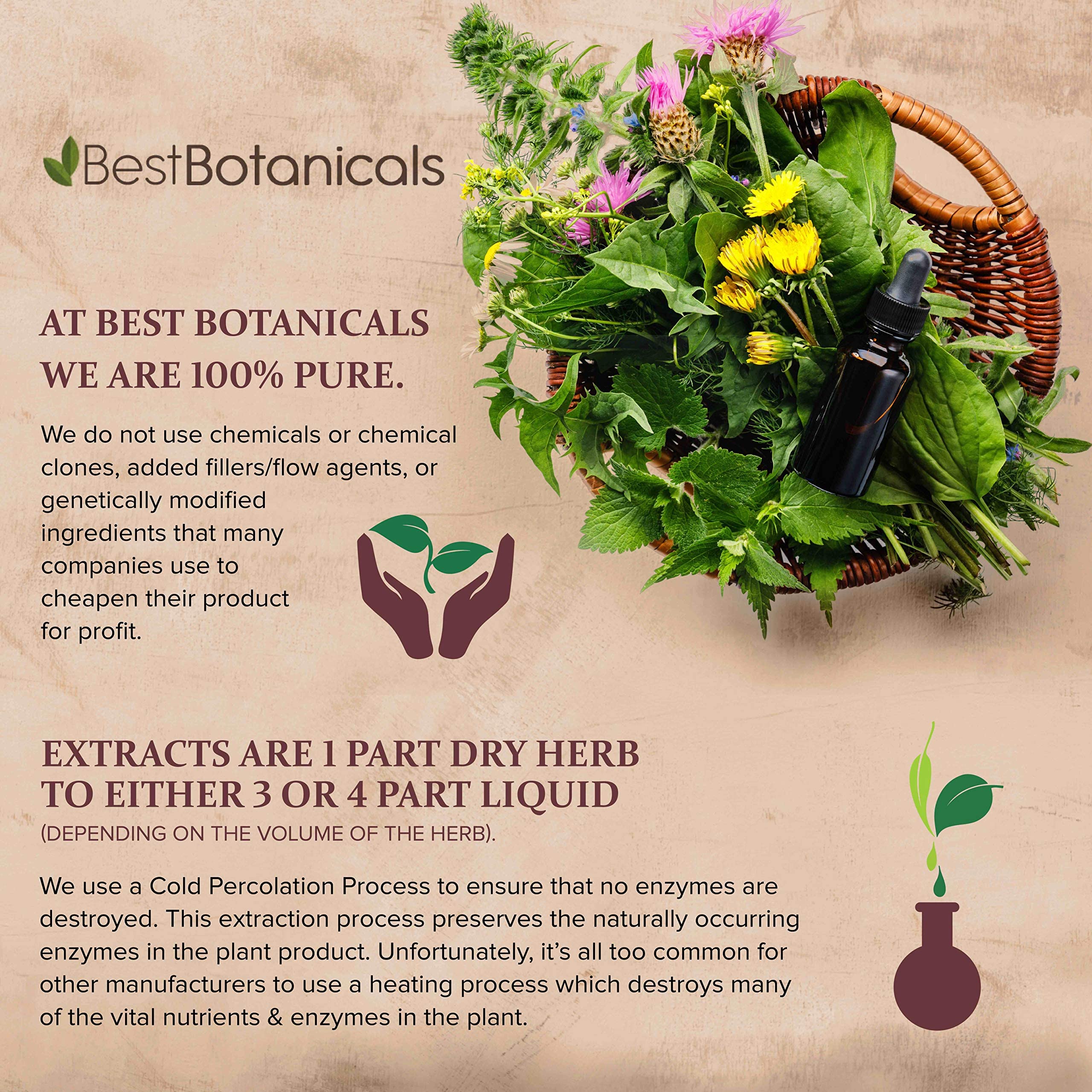 Best Botanicals Black Walnut Hull Powder 454g with herbal extracts
