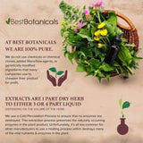 Best Botanicals Black Walnut Hull Powder 454g with herbal extracts