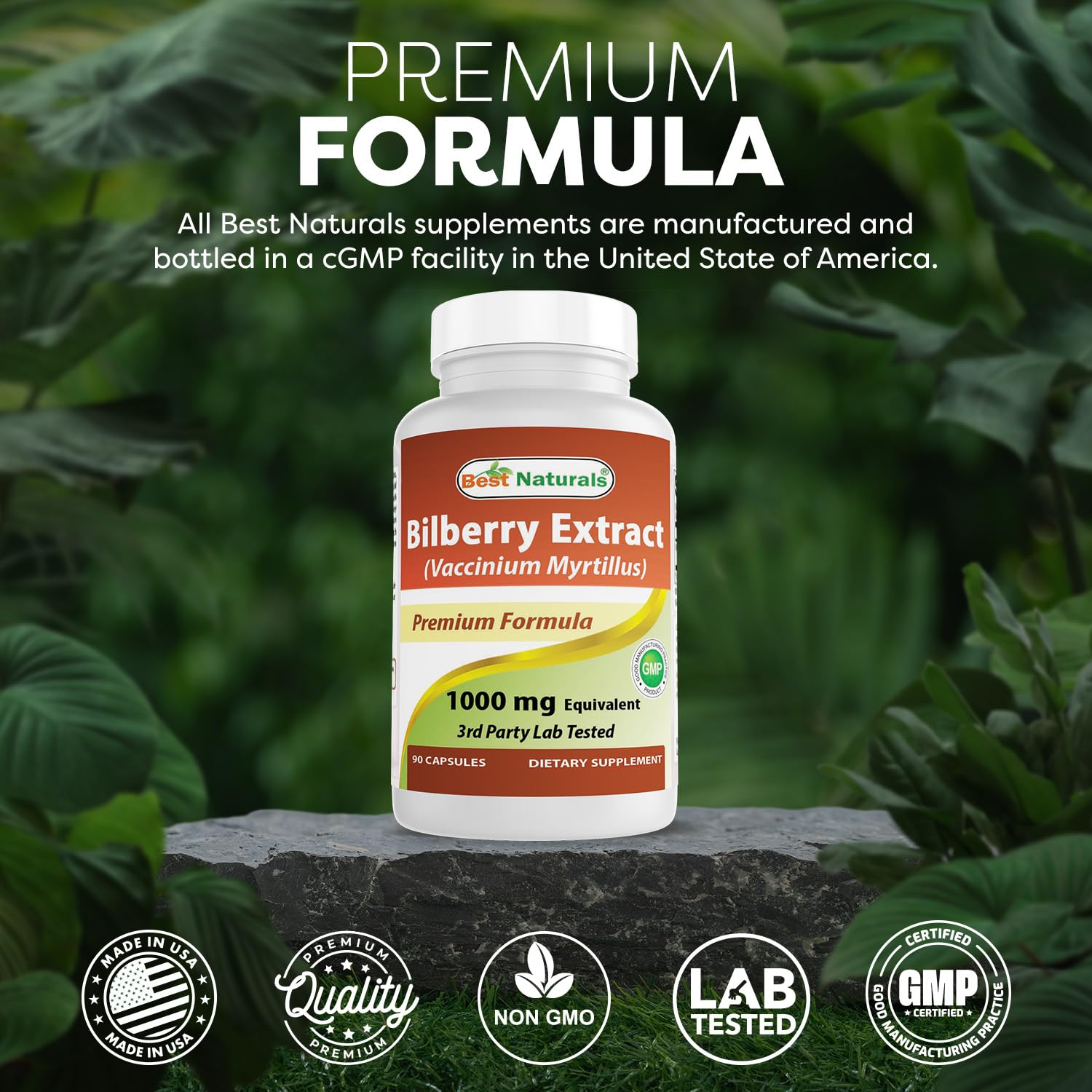 Best Naturals Bilberry Capsules 1000 mg back of the bottle