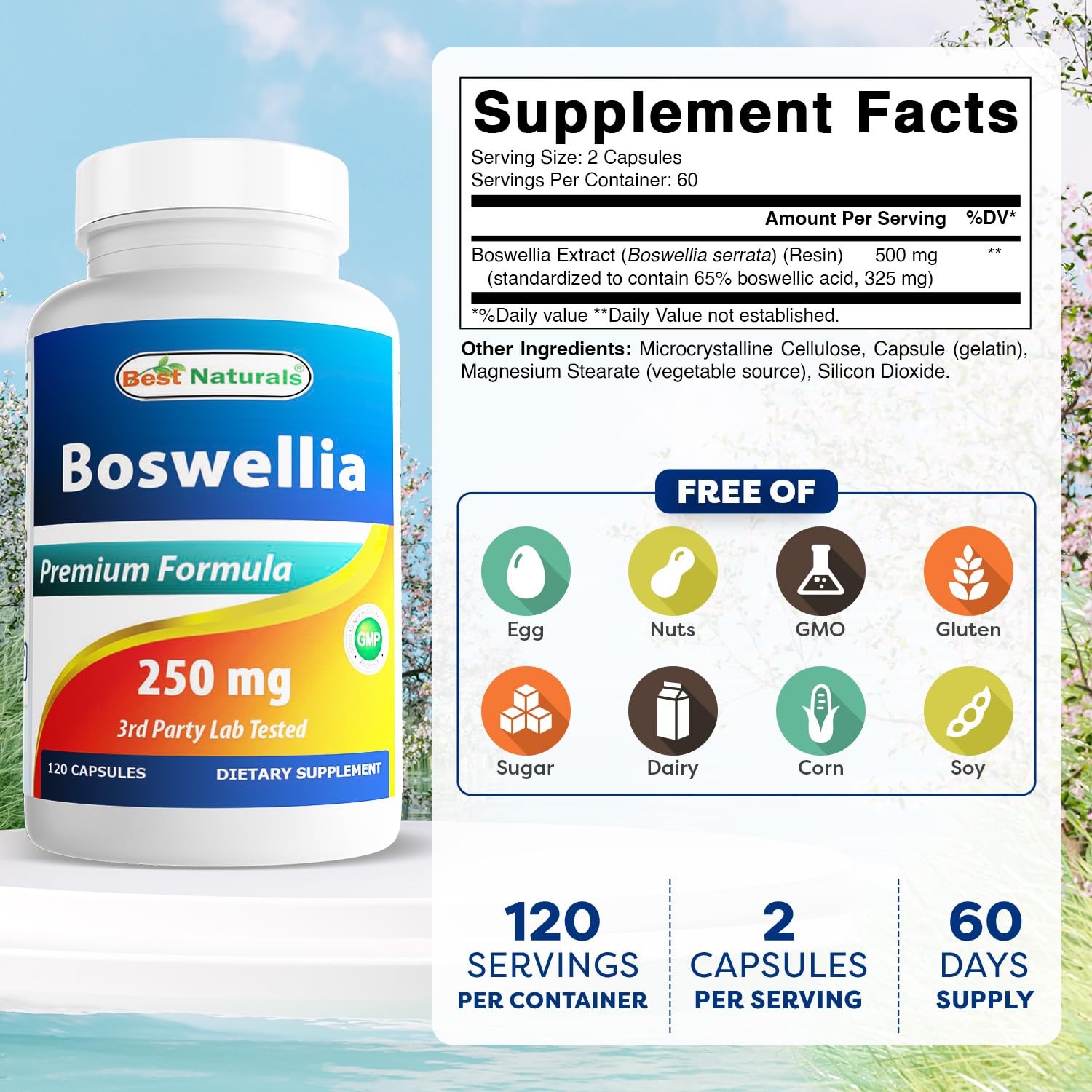 Best Naturals Boswellia Capsules 250mg bottle side view