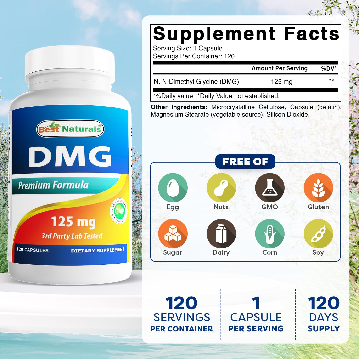 Best Naturals DMG Capsules 125mg side view showing label