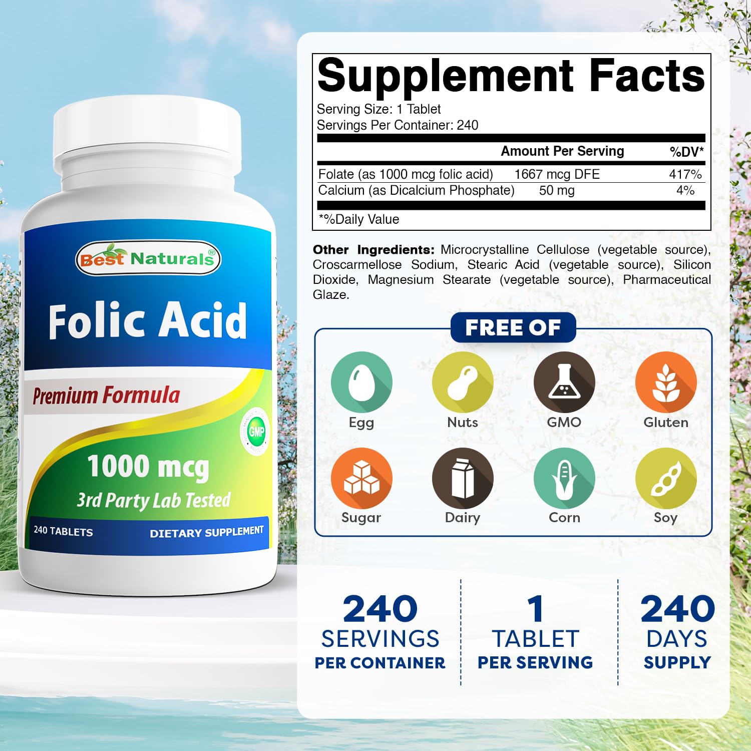 Best Naturals Folic Acid 240 Tablets back view with ingredients