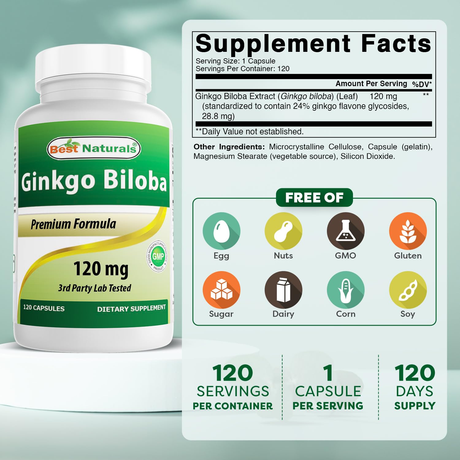 Best Naturals Ginkgo Biloba 120mg 120 Capsules side view