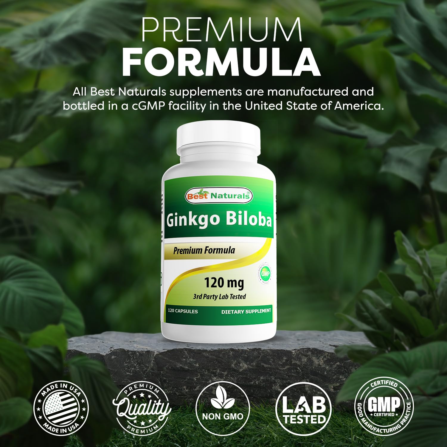 Best Naturals Ginkgo Biloba 120mg capsules on a table