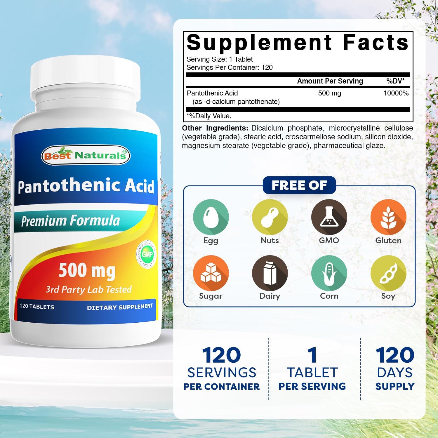 Best Naturals Multivitamin tablet close-up showing size and texture