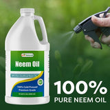 Best Naturals Neem Oil bottle with cap open