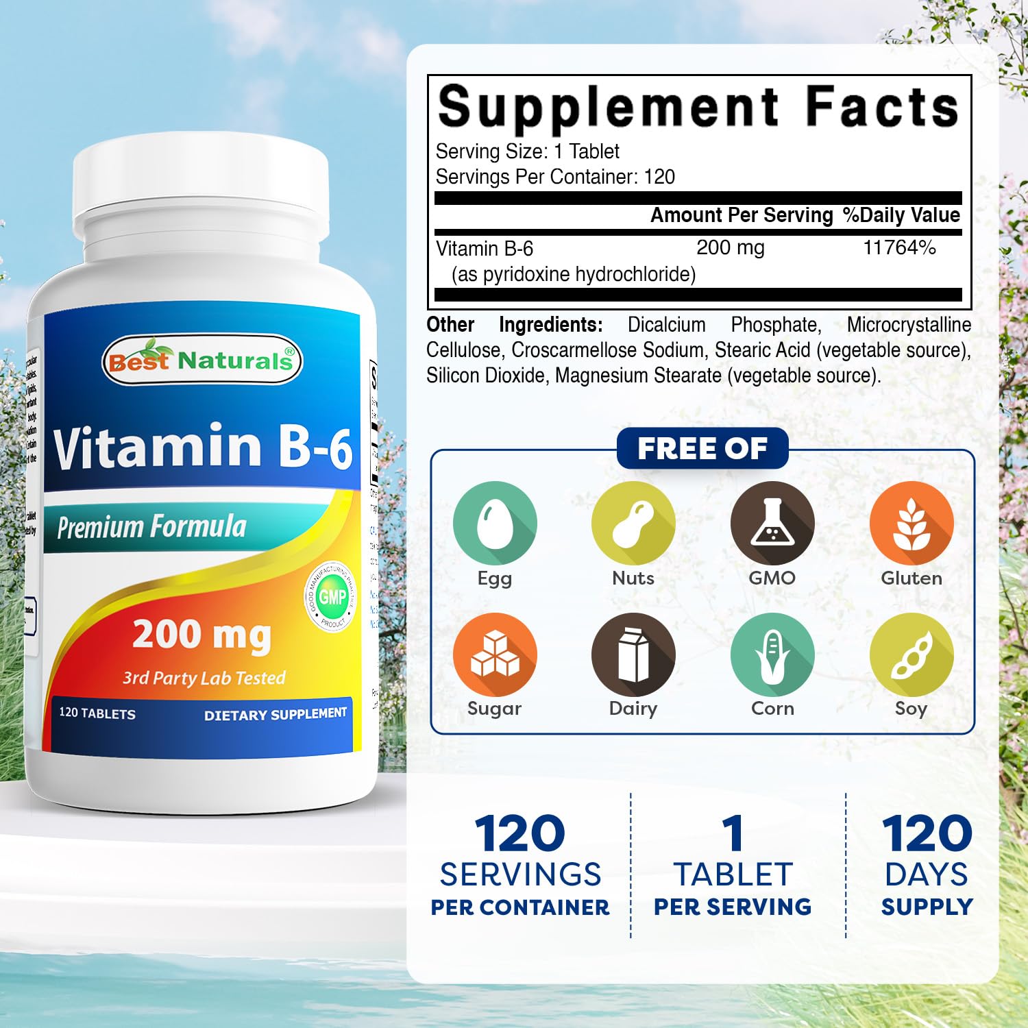 Best Naturals Vitamin B-6 200mg 120 Tablets side view