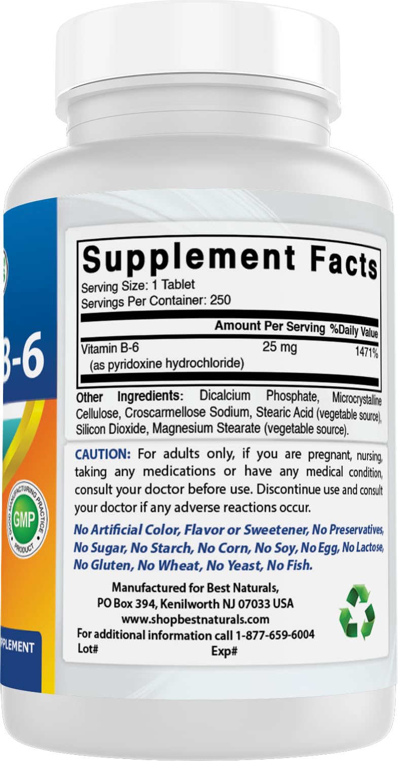 Best Naturals Vitamin B-6 250 Tablets back label