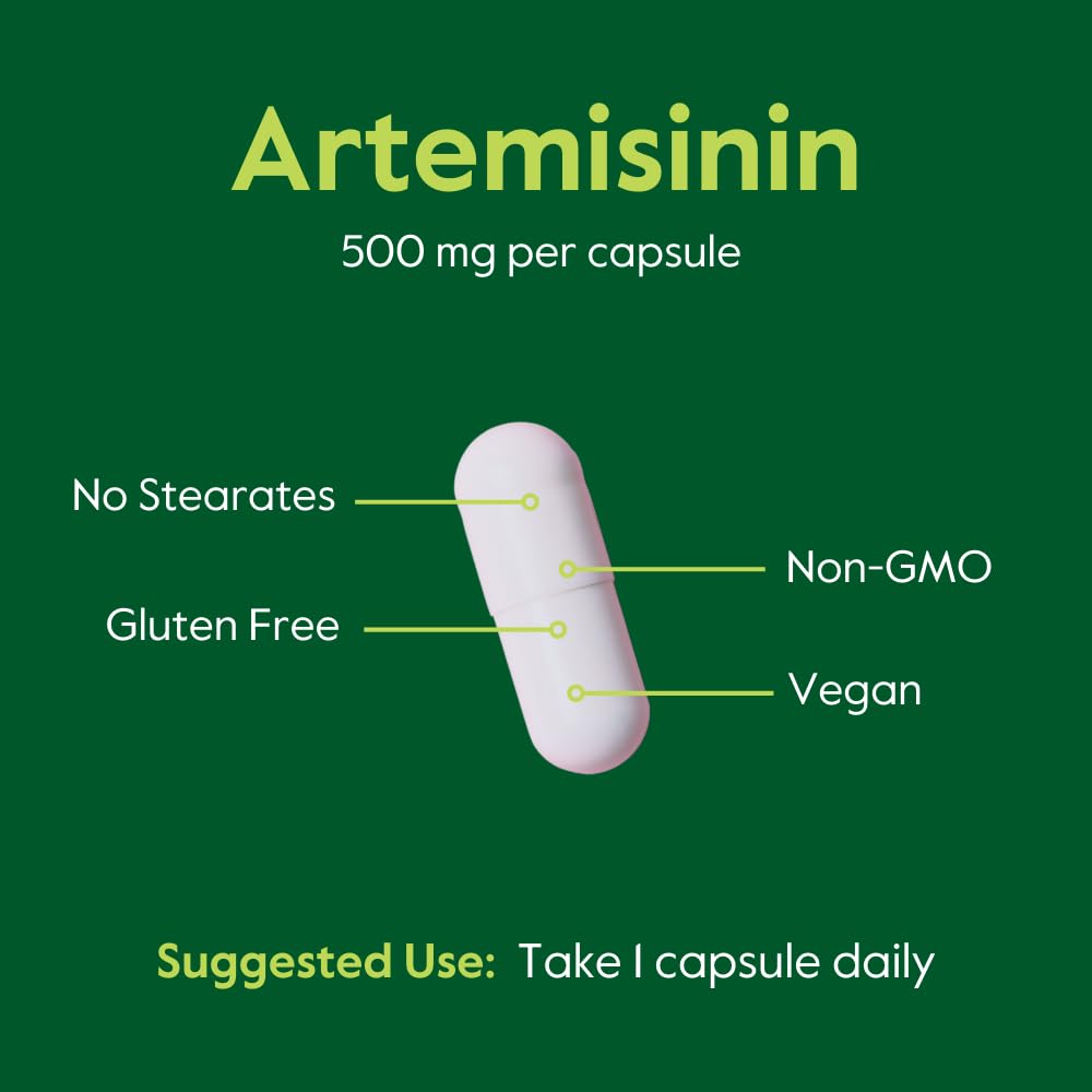 BESTVITE Artemisinin 500mg Vegan Capsules with a measuring spoon