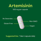 BESTVITE Artemisinin 500mg Vegan Capsules with a measuring spoon