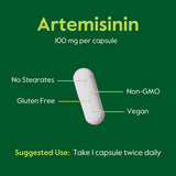 BESTVITE Artemisinin Herbal Supplement 100mg ingredients list