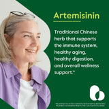 BESTVITE Artemisinin Herbal Supplement 100mg side view