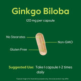 BESTVITE Ginkgo Biloba 120mg Capsules ingredients list
