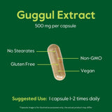 BESTVITE Guggul Extract Capsules 500mg opened bottle