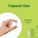 BESTVITE Milk Thistle Extract 300mg capsules with dosage information