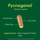 BESTVITE Pycnogenol capsules with measuring spoon