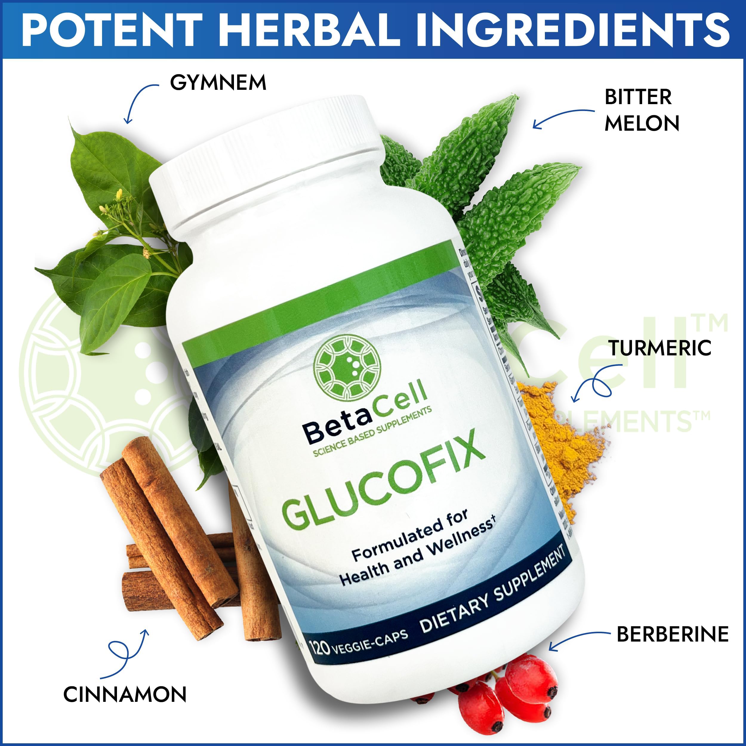 BETACELL Glucofix Berberine Supplement bottle with a measuring spoon