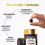 Better Alt GOLD+ Shilajit Gummies close-up of gummies