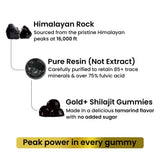 Better Alt GOLD+ Shilajit Gummies lifestyle scene with fitness gear