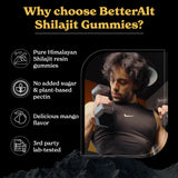 Better Alt Shilajit Mango Gummies back view with nutritional information