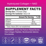 BETTER LIFE LAB Collagen + NAD Supplement serving suggestion
