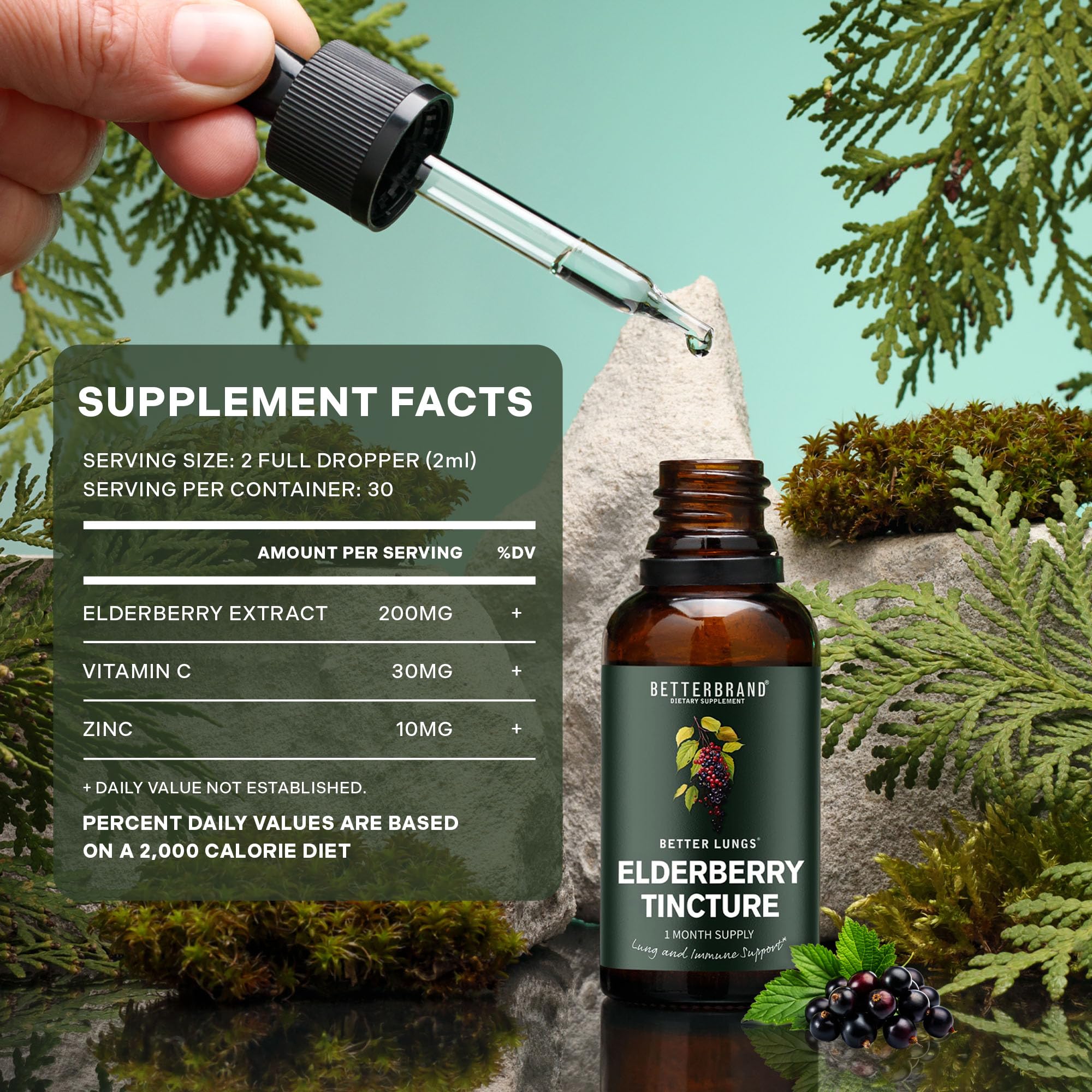 Betterbrand Elderberry Tincture packaging with dimensions