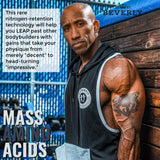 Beverly International Mass Amino Acids 762g with fitness accessories