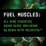 BEYOND RAW Precision Amino 640g nutritional information