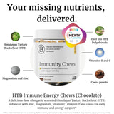 BIG BOLD HEALTH HTB daily wellness Chews chocolate flavour